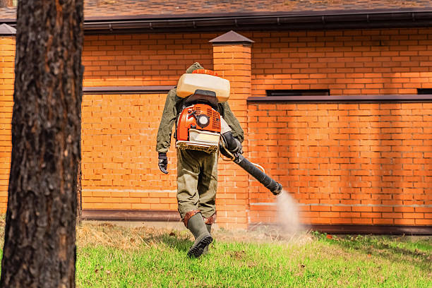 Trusted Cockroach Control service in Sunbury, PA - Nex Pest Control